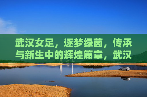 武汉女足，逐梦绿茵，传承与新生中的辉煌篇章，武汉女足，逐梦绿茵，传承与新生中的辉煌篇章