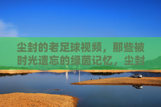 尘封的老足球视频，那些被时光遗忘的绿茵记忆，尘封的老足球视频，那些被时光遗忘的绿茵记忆