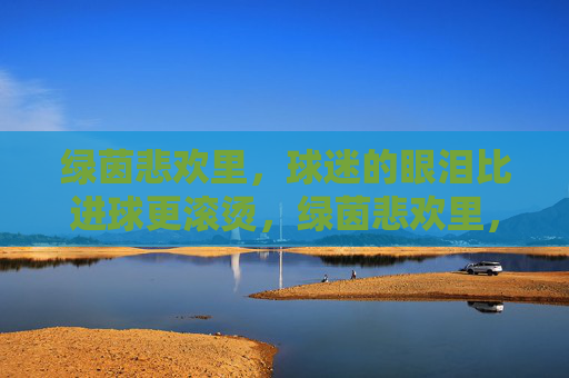 绿茵悲欢里，球迷的眼泪比进球更滚烫，绿茵悲欢里，球迷的眼泪比进球更滚烫