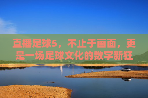 直播足球5,不止于画面,更是一场足球文化的数字新狂欢