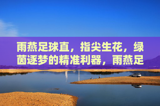 雨燕足球直,指尖生花,绿茵逐梦的精准利器,雨燕足球直,指尖生花,绿茵逐梦的精准利器