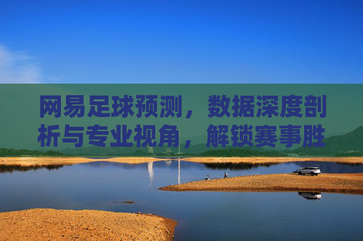 网易足球预测,数据深度剖析与专业视角,解锁赛事胜平负新维度,网易足球预测,数据深度剖析与专业视角,解锁赛事胜平负新维度