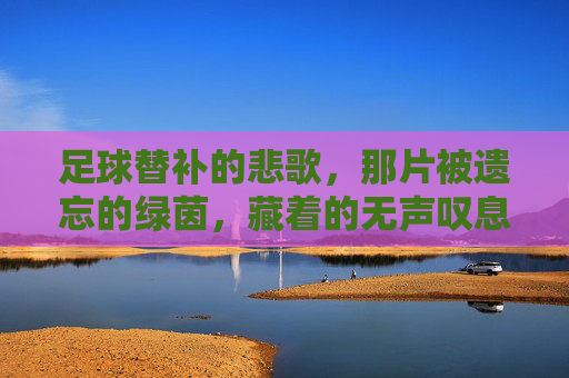 足球替补的悲歌，那片被遗忘的绿茵，藏着的无声叹息，足球替补的悲歌，那片被遗忘的绿茵与无声叹息