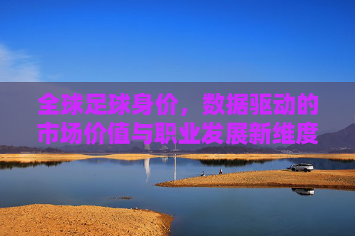 全球足球身价,数据驱动的市场价值与职业发展新维度,全球足球身价,数据驱动的市场价值与职业发展新维度