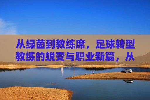 从绿茵到教练席，足球转型教练的蜕变与职业新篇，从绿茵到教练席，足球转型教练的蜕变与职业新篇