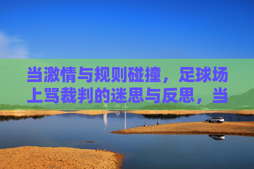当激情与规则碰撞,足球场上骂裁判的迷思与反思,当激情与规则碰撞,足球场上骂裁判的迷思与反思