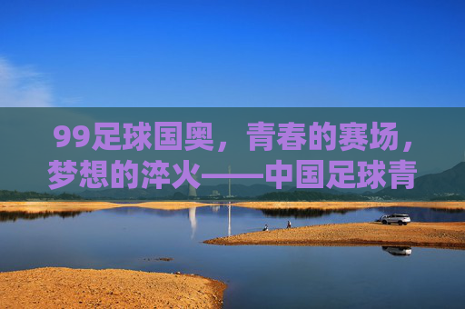 99足球国奥,青春的赛场,梦想的淬火——中国足球青年力量的崛起与传承