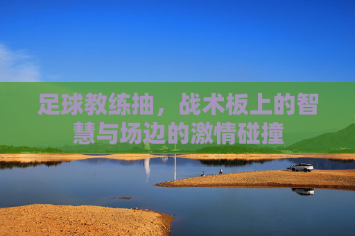 足球教练抽,战术板上的智慧与场边的激情碰撞