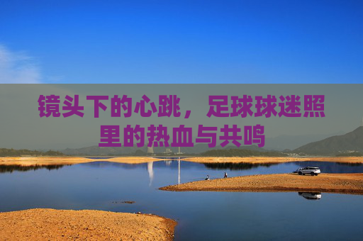 镜头下的心跳,足球球迷照里的热血与共鸣