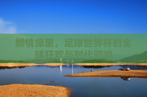 燃情绿茵，足球世界杯的全球狂欢与时代回响