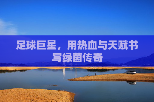 足球巨星，用热血与天赋书写绿茵传奇