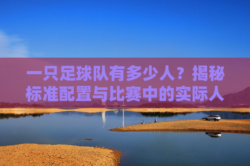 一只足球队有多少人？揭秘标准配置与比赛中的实际人数
