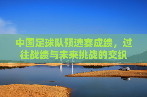中国足球队预选赛成绩,过往战绩与未来挑战的交织
