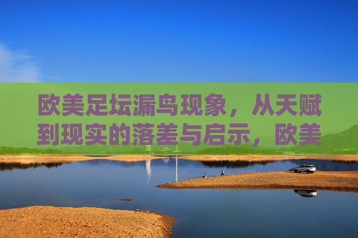 欧美足坛漏鸟现象，从天赋到现实的落差与启示，欧美足坛漏鸟现象，从天赋到现实的落差与启示