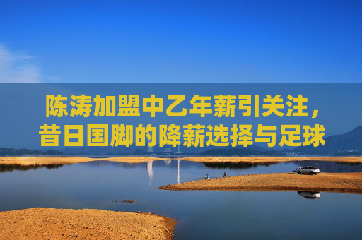 陈涛加盟中乙年薪引关注，昔日国脚的降薪选择与足球情怀的延续，陈涛降薪加盟中乙，昔日国脚足球情怀的延续