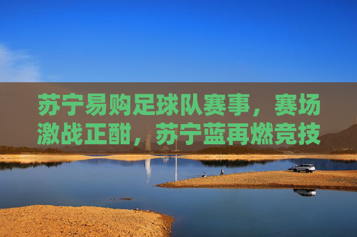 苏宁易购足球队赛事,赛场激战正酣,苏宁蓝再燃竞技激情,苏宁易购足球队赛事激战正酣,竞技激情由苏宁蓝点燃