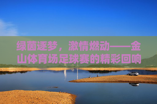绿茵逐梦，激情燃动——金山体育场足球赛的精彩回响，绿茵逐梦，激情燃动——金山体育场足球赛的精彩回响