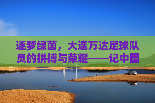 逐梦绿茵,大连万达足球队员的拼搏与荣耀——记中国足球的金童军与时代印记,逐梦绿茵,大连万达足球队员的拼搏与荣耀——记中国足球的金童军与时代印记