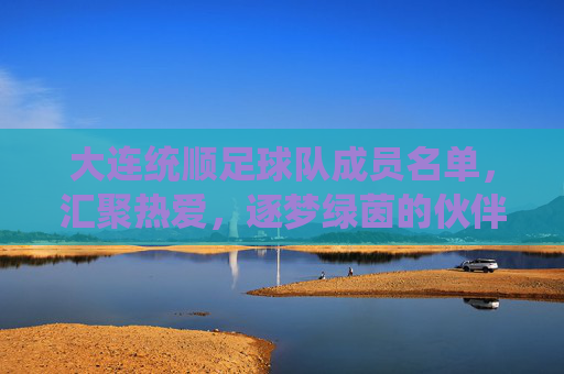 大连统顺足球队成员名单，汇聚热爱，逐梦绿茵的伙伴们