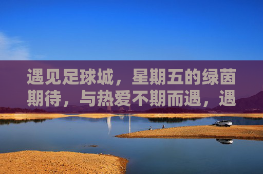 遇见足球城,星期五的绿茵期待,与热爱不期而遇,遇见足球城,星期五的绿茵期待,与热爱不期而遇