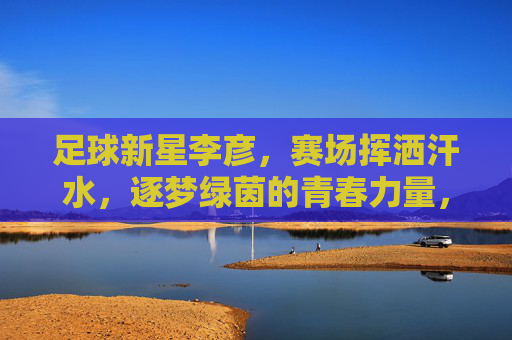 足球新星李彦，赛场挥洒汗水，逐梦绿茵的青春力量，足球新星李彦，赛场挥洒汗水，逐梦绿茵的青春力量