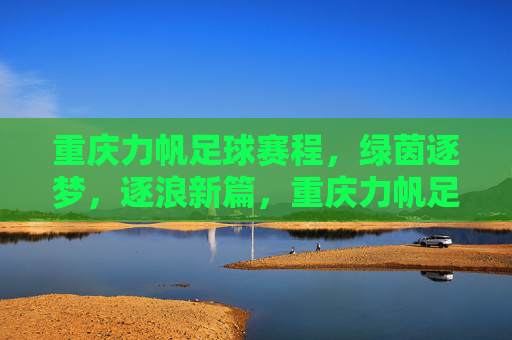 重庆力帆足球赛程，绿茵逐梦，逐浪新篇，重庆力帆足球赛程，绿茵逐梦，逐浪新篇