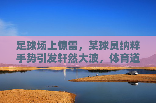 足球场上惊雷,某球员纳粹手势引发轩然大波,体育道德与政治敏感的拷问,足球场上惊雷,某球员纳粹手势引发轩然大波,体育道德与政治敏感的拷问