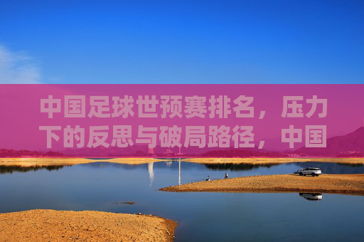 中国足球世预赛排名,压力下的反思与破局路径,中国足球世预赛排名,压力下的反思与破局路径