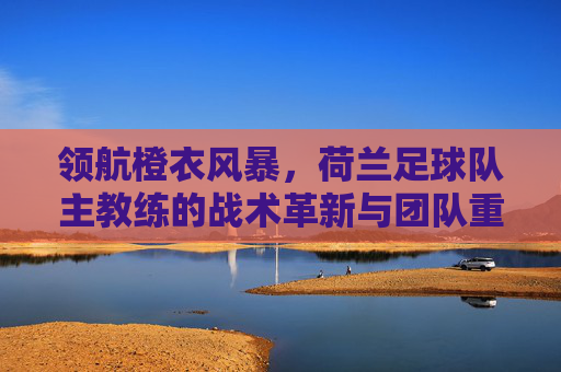 领航橙衣风暴，荷兰足球队主教练的战术革新与团队重塑之路，领航橙衣风暴，荷兰足球队主教练的战术革新与团队重塑之路
