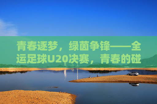 青春逐梦，绿茵争锋——全运足球U20决赛，青春的碰撞与荣耀的绽放，青春逐梦，绿茵争锋——全运足球U20决赛，青春的碰撞与荣耀的绽放
