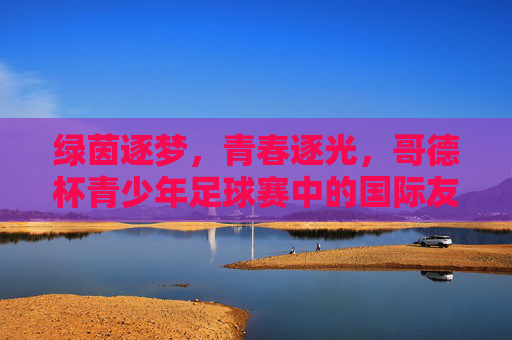 绿茵逐梦,青春逐光,哥德杯青少年足球赛中的国际友谊与成长印记,绿茵逐梦,青春逐光,哥德杯青少年足球赛中的国际友谊与成长印记
