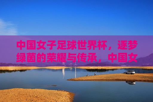 中国女子足球世界杯,逐梦绿茵的荣耀与传承,中国女子足球世界杯,逐梦绿茵的荣耀与传承