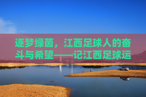逐梦绿茵，江西足球人的奋斗与希望——记江西足球运动员的青春与担当，逐梦绿茵，江西足球人的奋斗与希望——记江西足球运动员的青春与担当