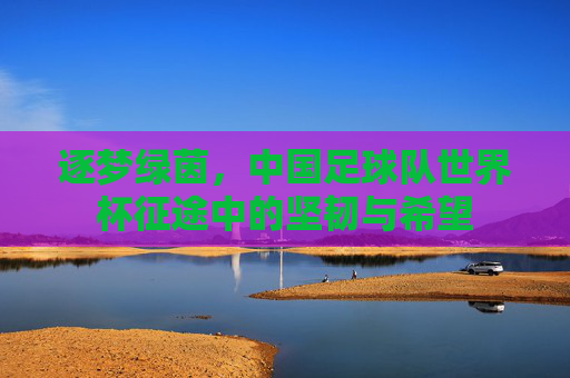 逐梦绿茵，中国足球队世界杯征途中的坚韧与希望