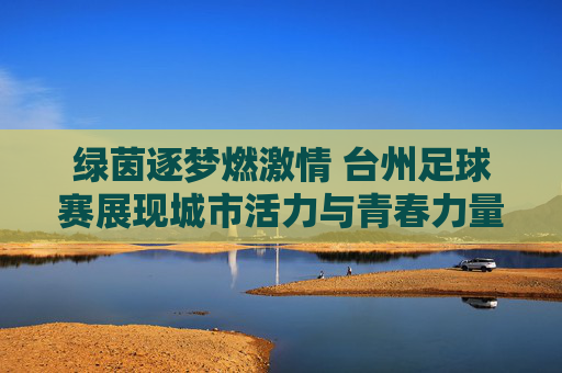 绿茵逐梦燃激情 台州足球赛展现城市活力与青春力量，绿茵逐梦燃激情 台州足球赛展现城市活力与青春力量