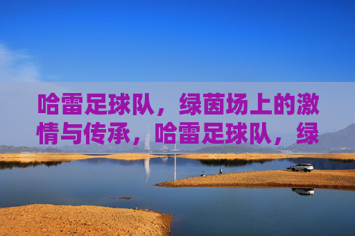 哈雷足球队，绿茵场上的激情与传承，哈雷足球队，绿茵场上的激情与传承