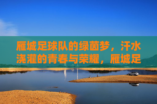 雁城足球队的绿茵梦，汗水浇灌的青春与荣耀，雁城足球队的绿茵梦，汗水浇灌的青春与荣耀
