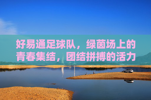 好易通足球队，绿茵场上的青春集结，团结拼搏的活力象征，好易通足球队，绿茵场上的青春集结，团结拼搏的活力象征