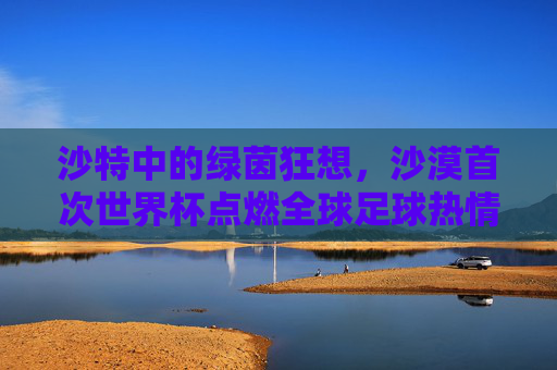沙特中的绿茵狂想,沙漠首次世界杯点燃全球足球热情,沙特绿茵狂想,沙漠首次世界杯点燃全球足球热情