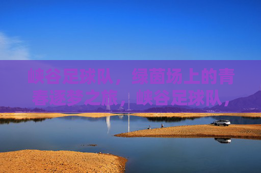 峡谷足球队，绿茵场上的青春逐梦之旅，峡谷足球队，绿茵场上的青春逐梦之旅