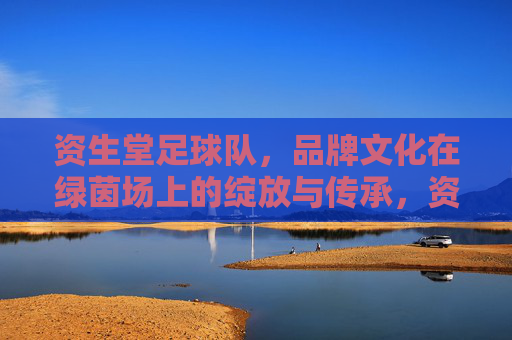 资生堂足球队,品牌文化在绿茵场上的绽放与传承,资生堂足球队,品牌文化在绿茵场上的绽放与传承