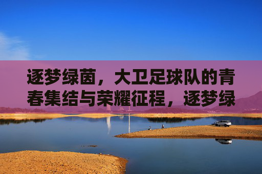 逐梦绿茵，大卫足球队的青春集结与荣耀征程，逐梦绿茵，大卫足球队的青春集结与荣耀征程