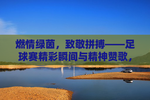燃情绿茵，致敬拼搏——足球赛精彩瞬间与精神赞歌，燃情绿茵，致敬拼搏——足球赛精彩瞬间与精神赞歌