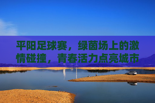 平阳足球赛，绿茵场上的激情碰撞，青春活力点亮城市，平阳足球赛，绿茵场激情碰撞，青春活力点亮城市