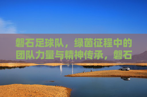 磐石足球队,绿茵征程中的团队力量与精神传承,磐石足球队,绿茵征程中的团队力量与精神传承