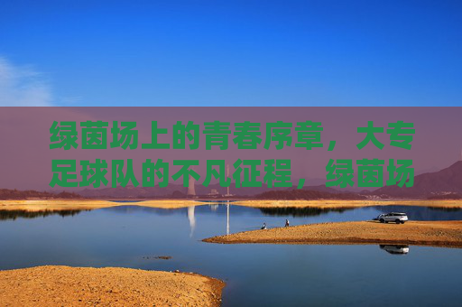 绿茵场上的青春序章，大专足球队的不凡征程，绿茵场上的青春序章，大专足球队的不凡征程