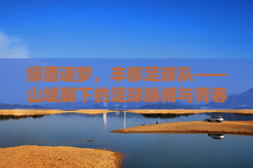 绿茵逐梦,丰都足球队——山城脚下的足球脉搏与青春力量,绿茵逐梦,丰都足球队——山城脚下的足球脉搏与青春力量