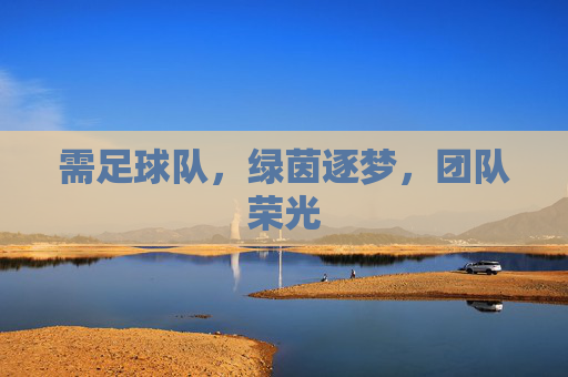 需足球队，绿茵逐梦，团队荣光