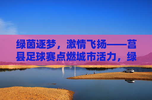 绿茵逐梦，激情飞扬——莒县足球赛点燃城市活力，绿茵逐梦，激情飞扬——莒县足球赛点燃城市活力
