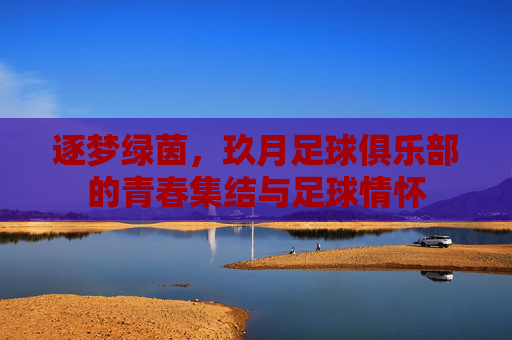 逐梦绿茵，玖月足球俱乐部的青春集结与足球情怀